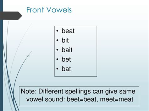 bet or bit|Commonly Confused Words: Beat and Beet .
